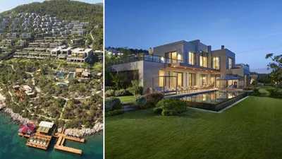 Bodrum'da lüks siteyi domuzlar bastı