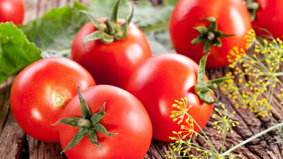 Rusya'dan flaş Türkiye açıklaması