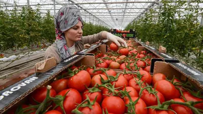 Rusya'dan çok kritik Türkiye açıklaması