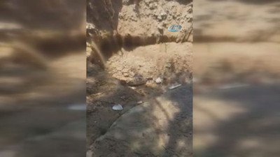 Bodrum'da halk plajında korkutan görüntü
