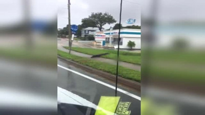 Timsahlar sokaklara indi ! Şoke eden görüntü