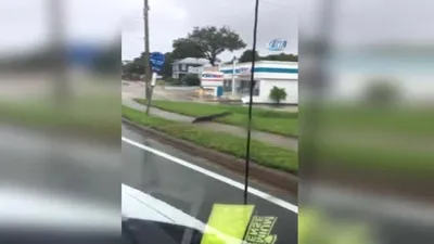 Timsahlar sokaklara indi ! Şoke eden görüntü