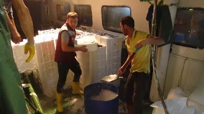Balıklara denizde kasa yetişmedi