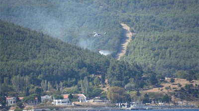 Gelibolu'da orman yangını