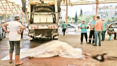 Kesimde hasta dana paniği !