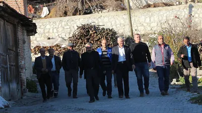 Zeytin hırsızlarına karşı nöbetteler