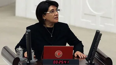Leyla Zana köyüne döndü