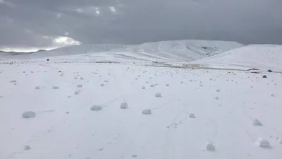 İlk ABD'de görülmüştü... Kayseri'de şaşırtan olay