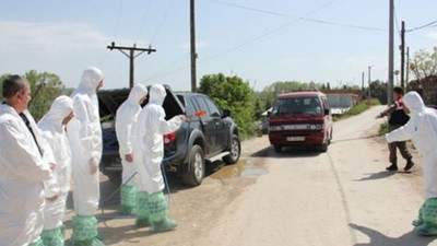 Şap hastalığı hortladı ! Bir ilçe karantinaya alındı