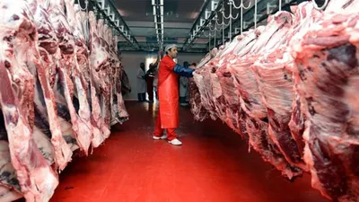 Türkiye ile Fransa anlaştı ! Tam 5 bin 700 ton ithal edilecek