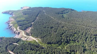 İşte nükleer santral Sinop'ta buraya kurulacak