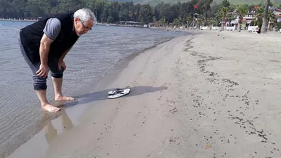 Muğla'da sahilde korkutan görüntü