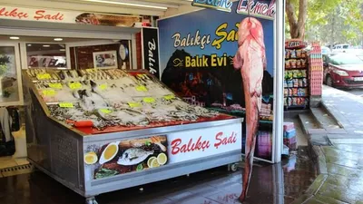 Yeşilırmak'tan bir canavar çıktı; tam 2 metre