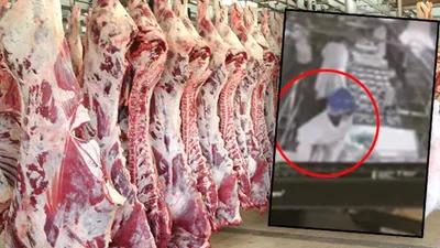 Et üretim tesisinde iğrenç görüntüler !