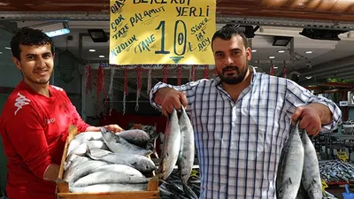 Palamudun fiyatı düştü