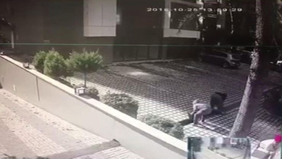 İstanbul'da inanılmaz hırsızlık