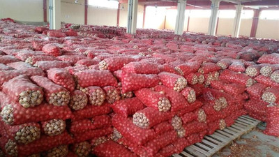 Tam 1.300 ton... Baskında ele geçirildi !