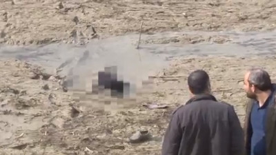 Balçığa saplanmış halde bulundu