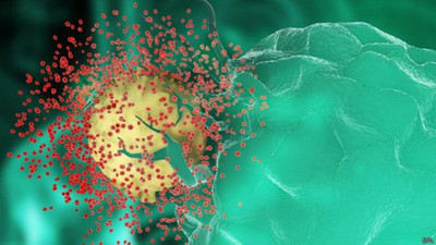 Türkiye'de HIV virüsü 10 kat arttı