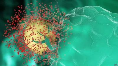 Türkiye'de HIV virüsü 10 kat arttı