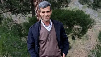 Ormandan toplayıp yedi, ölümle pençeleşiyor