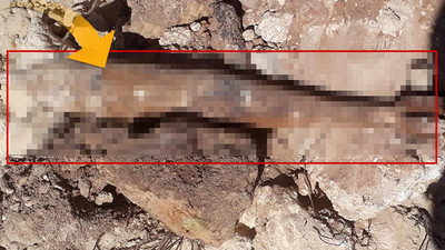Antalya'da bulundu ! Güvenlik önlemi aldı...
