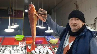 Uçar balığı ağa takıldı !
