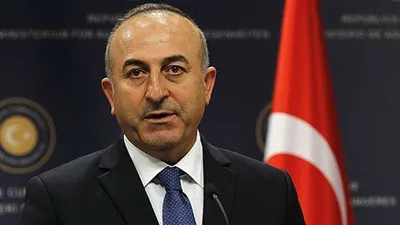 Dışişleri Bakanı Çavuşoğlu: Kıt bilgileriyle karar aldılar