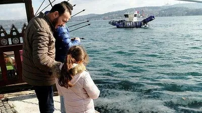 İstabul'da şaşırtan görüntü ! Binlercesi kıyıya vurdu