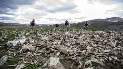 Jandarma devriye gezerken fark etti ! Boş arazide şok manzara