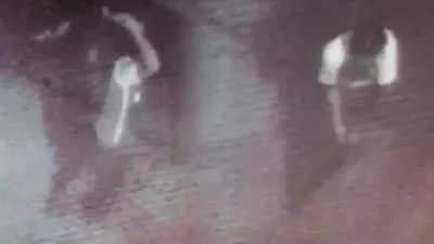 Yavru köpeği işkence yaparak öldürdü !