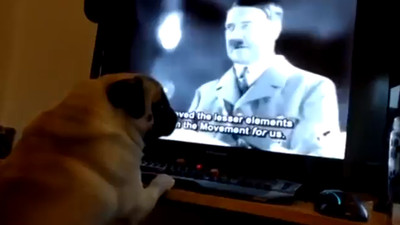 İnternette milyonlarca kişinin izlediği o videoya ceza geldi