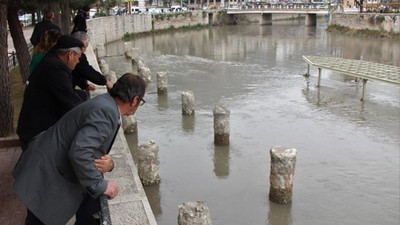 Yeşilırmak'ta balık ölümleri