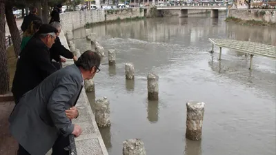Yeşilırmak'ta balık ölümleri