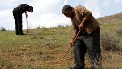 Bulması zor, getirisi yüksek !