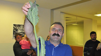 Topladıkları ot hastanelik etti