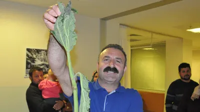 Topladıkları ot hastanelik etti