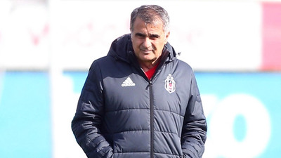 Şenol Güneş'ten Larin'e destek