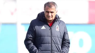 Şenol Güneş'ten Larin'e destek