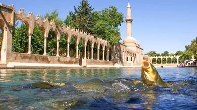 Balıklıgöl satışa çıkarıldı