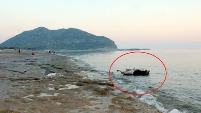Antalya sahilinde ilginç görüntü ! Kıyıya vurdu...