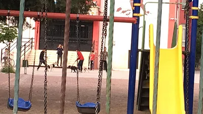 Okul bahçesinde şok eden görüntü !