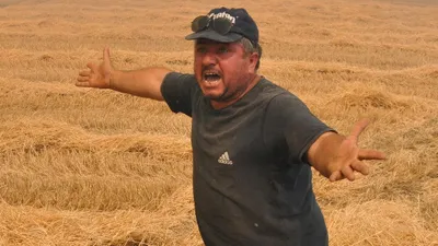 İsyan etmişti... Binlerce arı telef oldu
