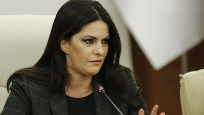 Bakan Sarıeroğlu'dan dolar yorumu