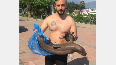 Denizde bulunca şoke oldu ! Tam 1 metre...