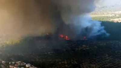  Çanakkale'de büyük orman yangını