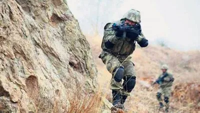 7 hain daha öldürüldü