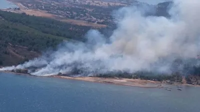 Cunda adasında orman yangını