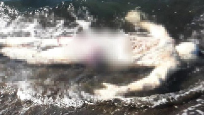 Samsun'da kan donduran görüntü