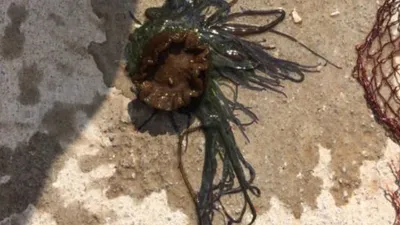 Korkunç olay ! Çocuğun yüzüne çarptı...